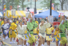 大和市　阿波踊り
