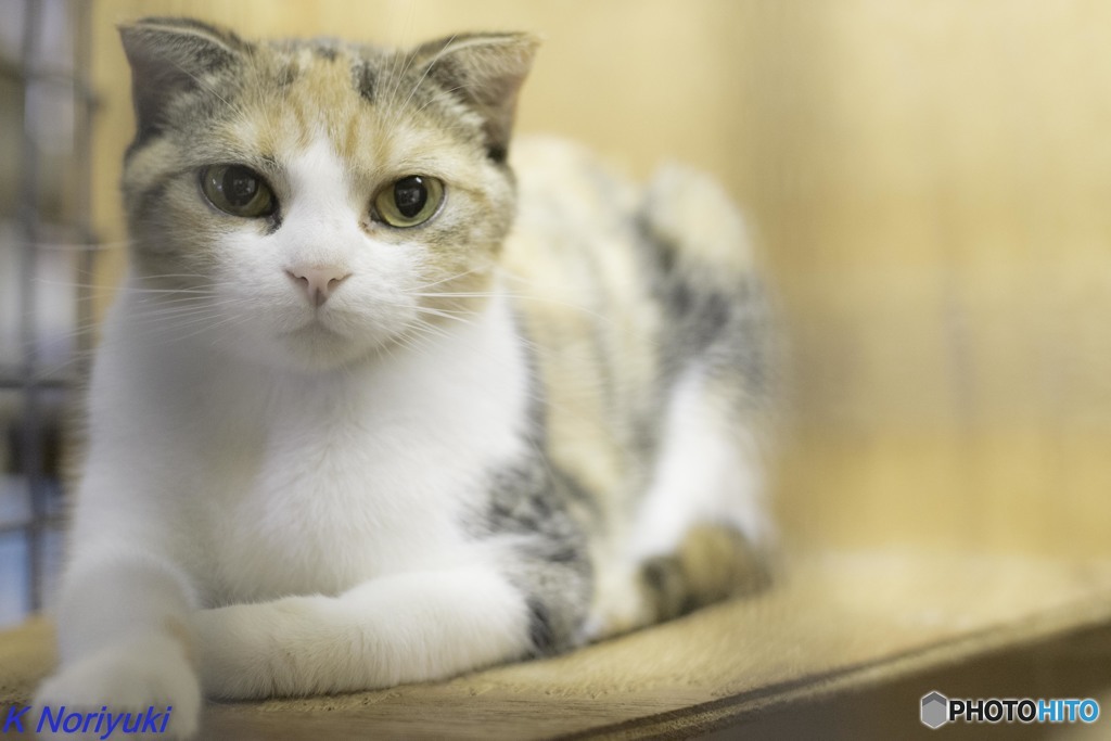 三井アウトレットパーク