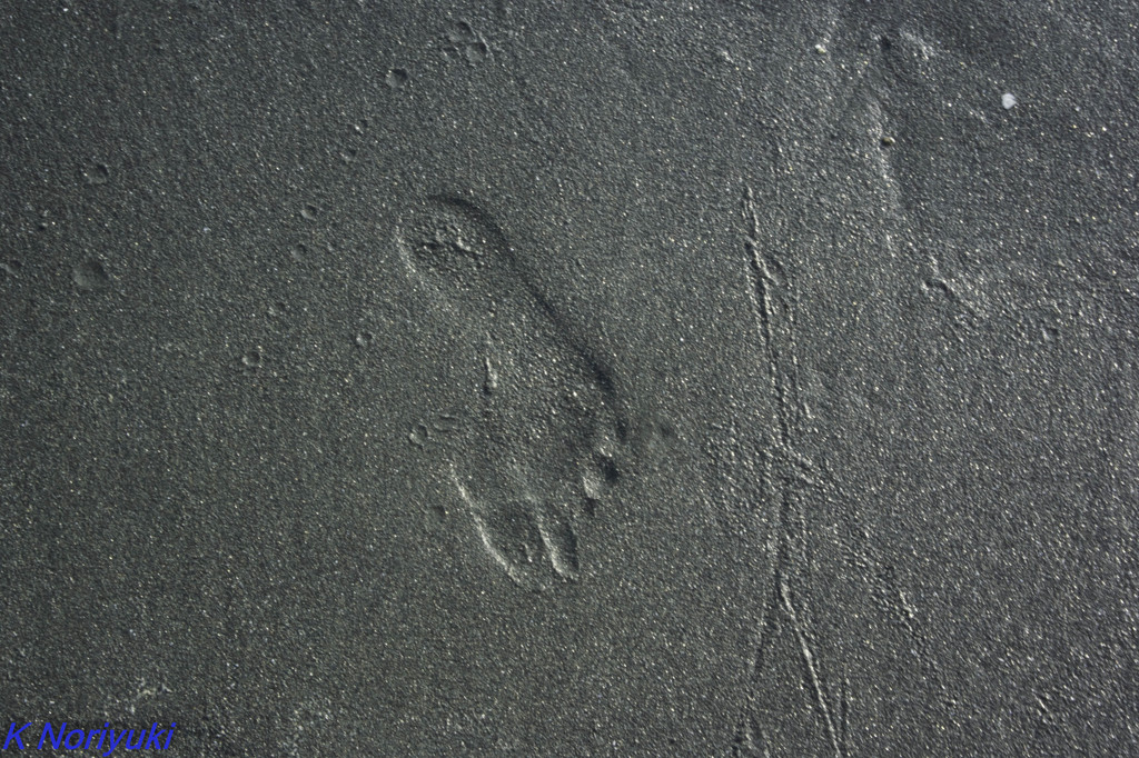 _DSC0682