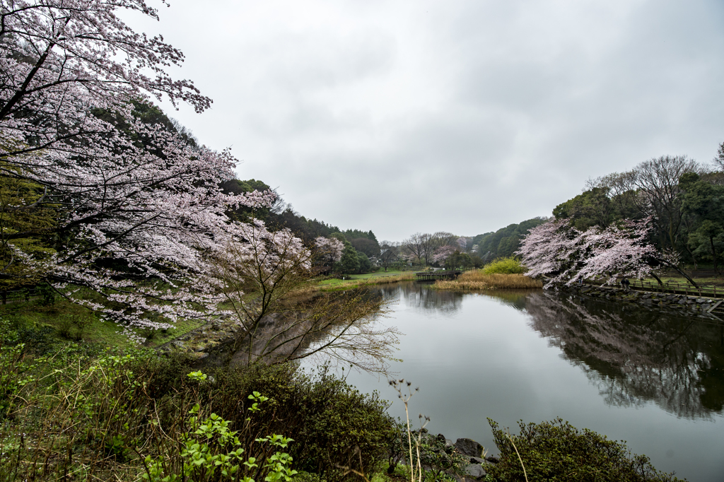 お写ん歩