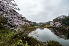 お写ん歩