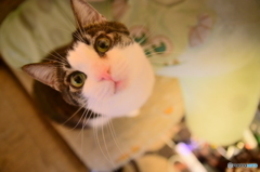 何してんのー？
