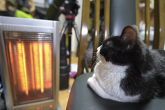 お気に入りには理由がある！