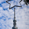 スカイツリーのクリスマスツリー