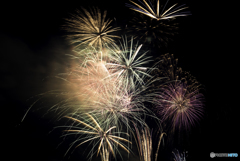 初めての花火撮影