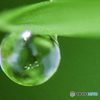水滴