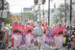 大和市　阿波踊り
