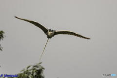 お写ん歩 お写ん歩