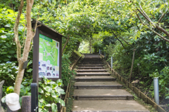江の島～鎌倉　お写ん歩