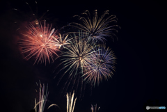 初めての花火撮影