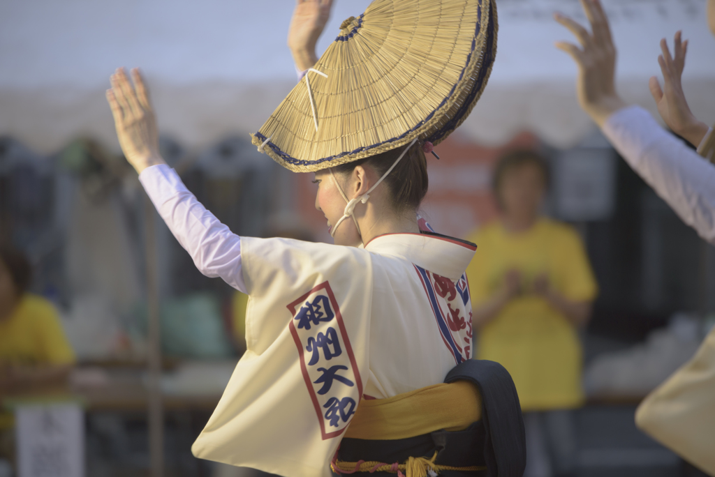 大和市　阿波踊り