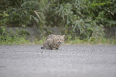 えっ？？何に？？？