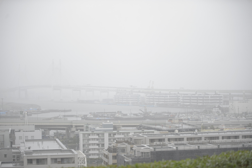 お写ん歩　雨天決行　ガチver