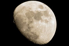 moon light