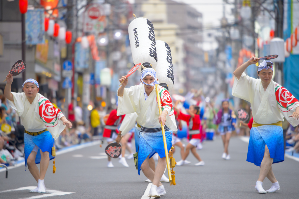大和市　阿波踊り
