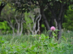お写ん歩