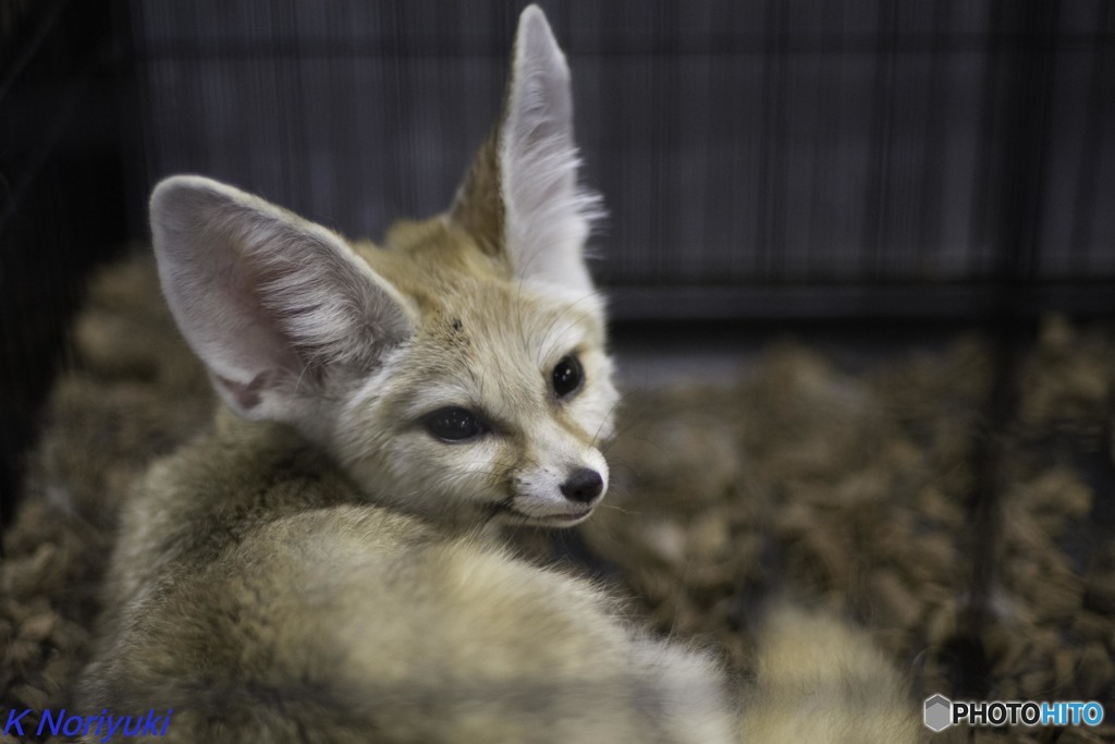 三井アウトレットパーク