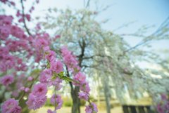 お写ん歩