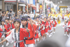 大和市　阿波踊り