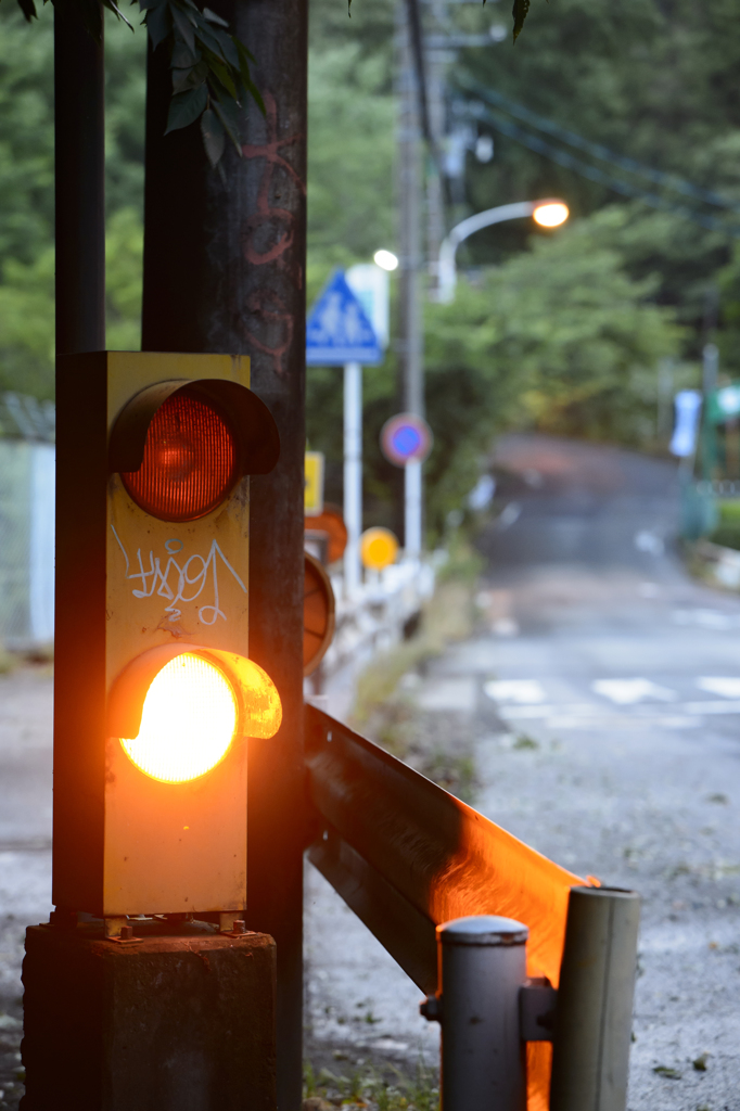 135mm 練習お写ん歩