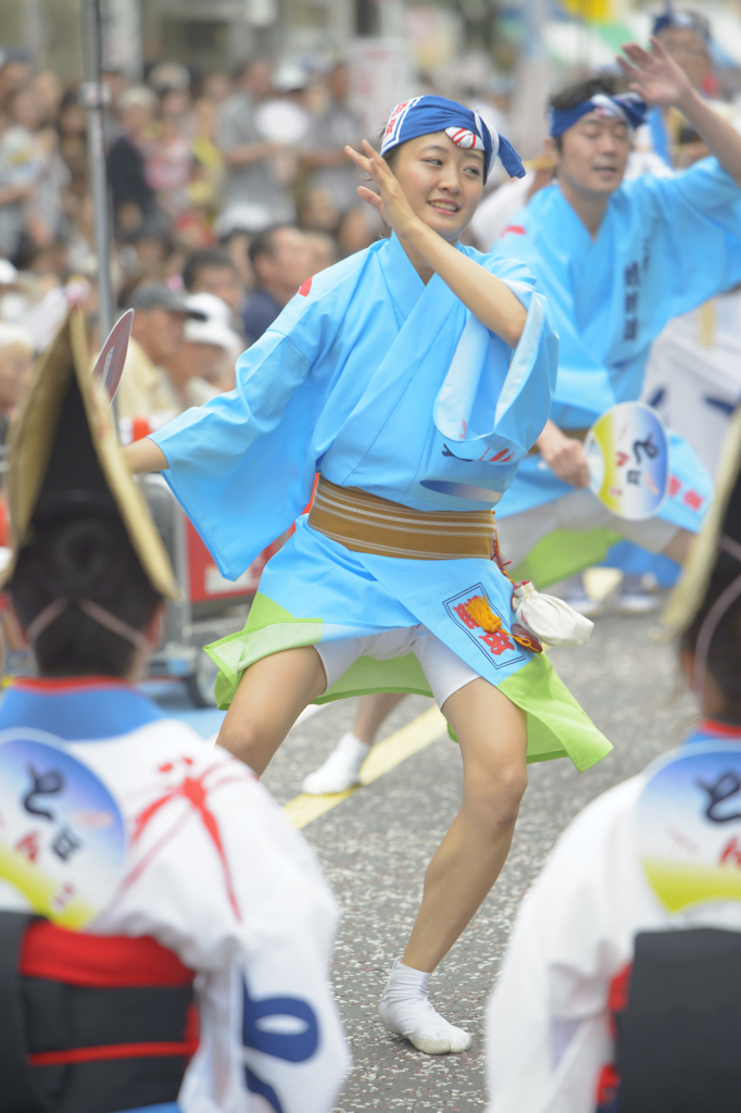 大和市　阿波踊り