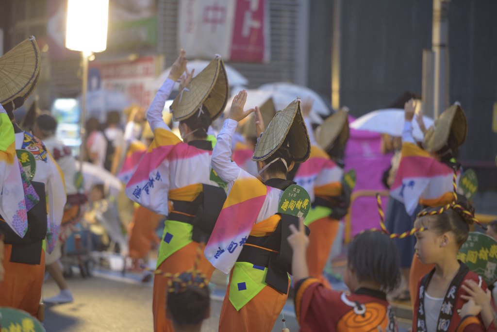大和市　阿波踊り
