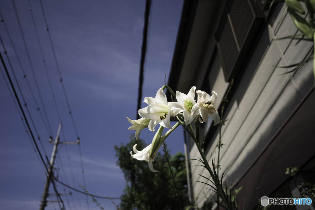 お写ん歩