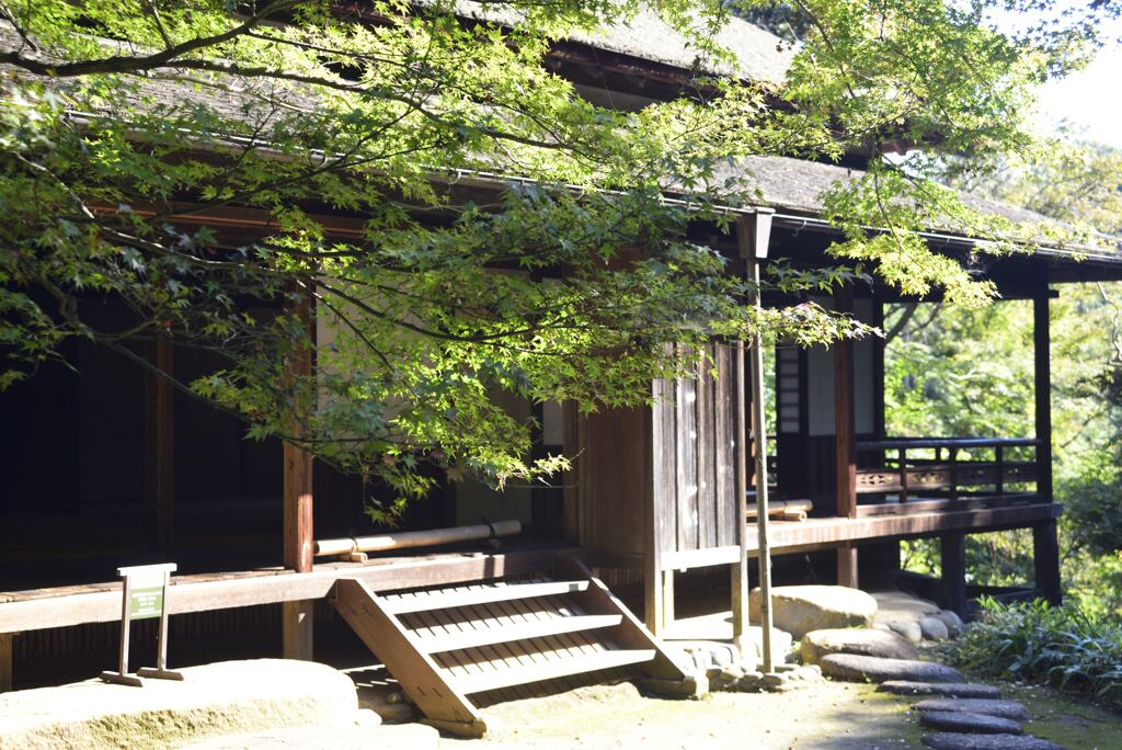 横浜三渓園、お写ん歩