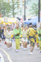 大和市　阿波踊り