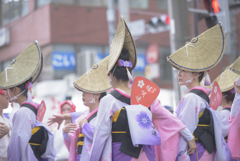 大和市　阿波踊り