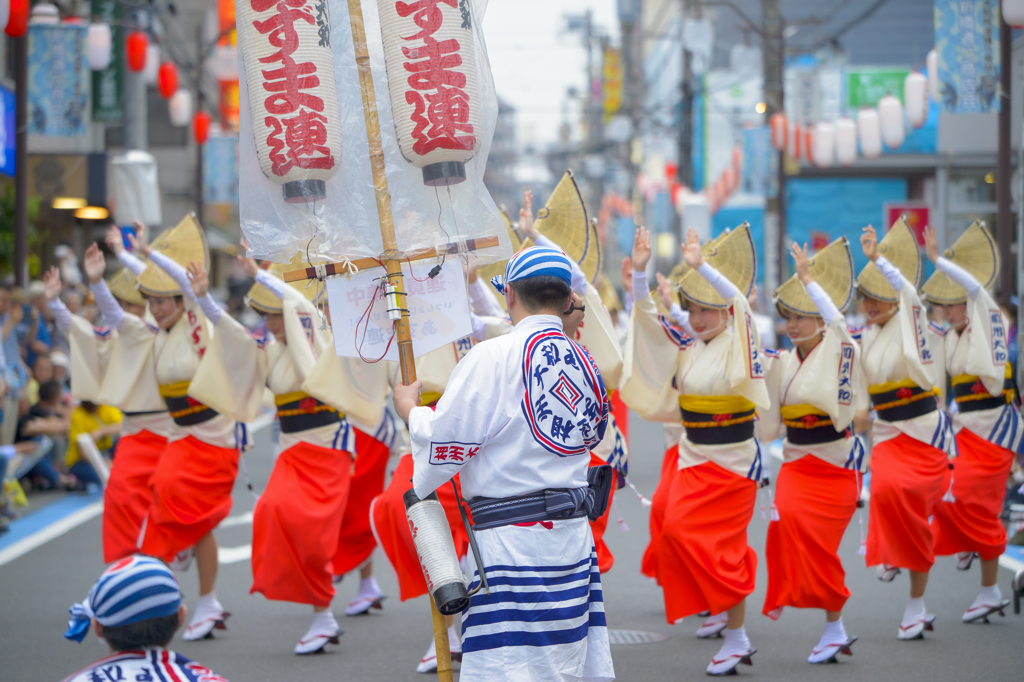 大和市　阿波踊り