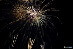 初めての花火撮影