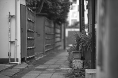 師匠とお写ん歩