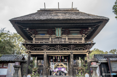 青井阿蘇神社で初詣