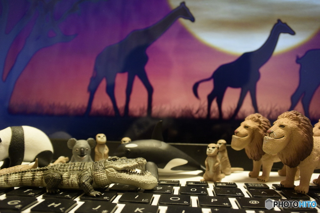 シャクレルプラネット