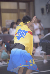 大和市　阿波踊り