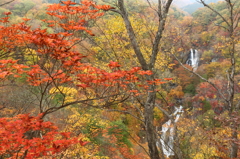 霧降の滝