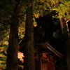 夫婦杉