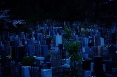 a graveyard