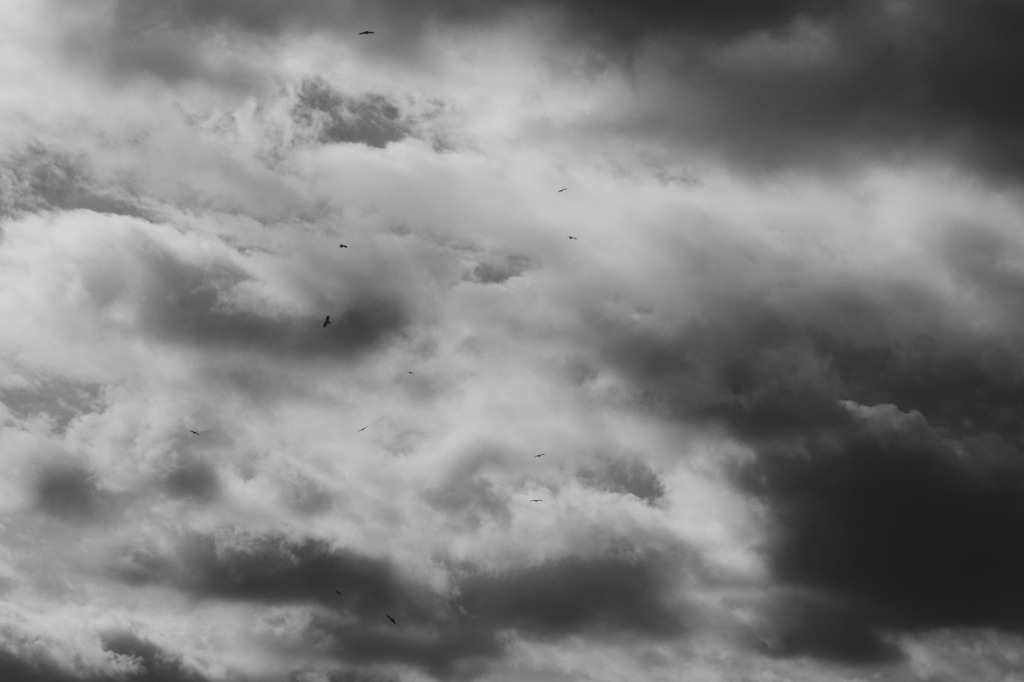 とりと雲