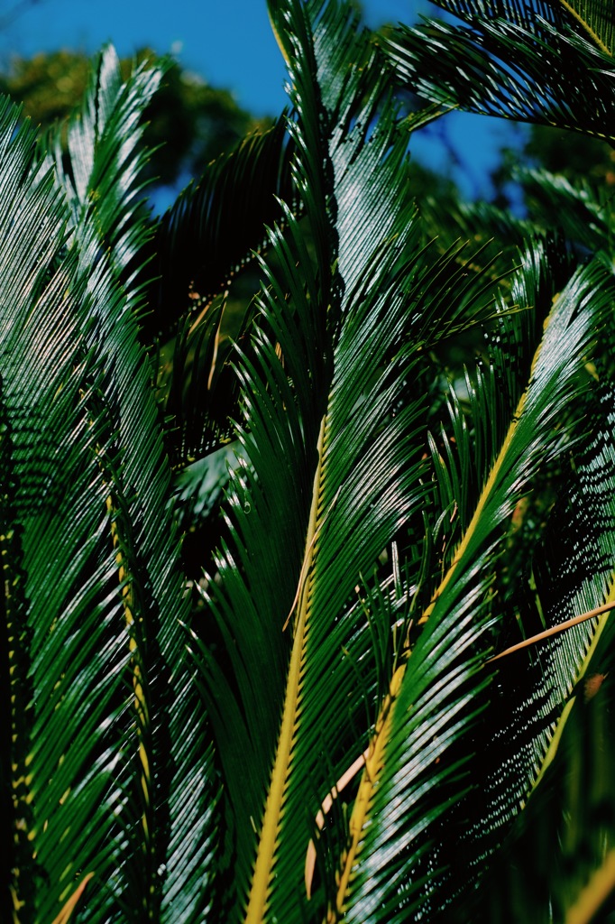 f2.8