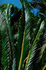 f2.8