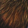 秋の江ノ島花火大会 その4