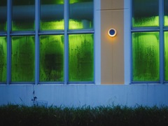 Night swimming 