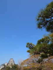 日本の風景　11