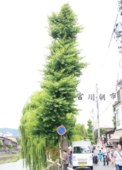 日本の風景　9