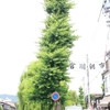 日本の風景　9