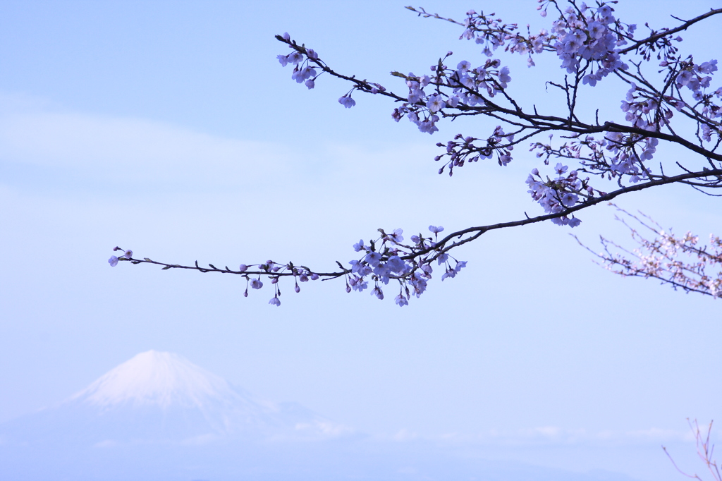 日本の風景　1