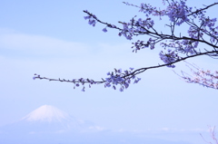 日本の風景　1