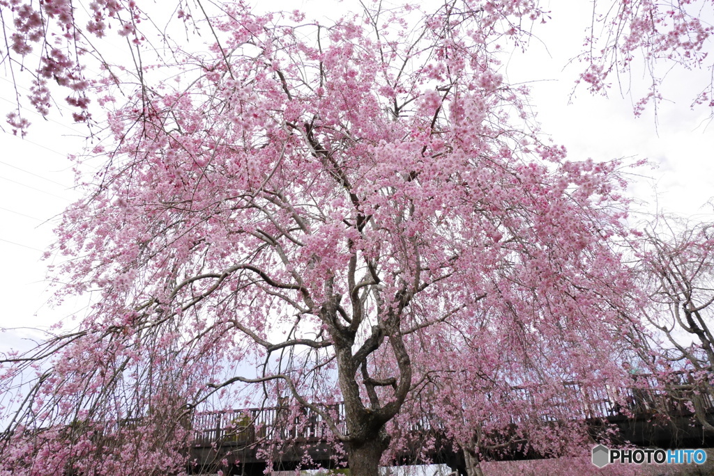 常陸風土記の丘①